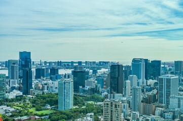 Fototapeta premium 日本の首都東京