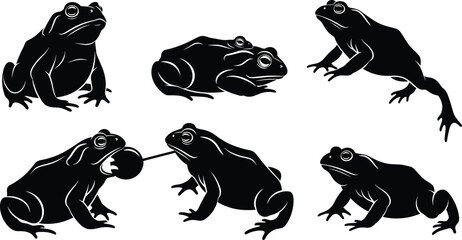 Frog silhouette illustration set, leaping, sitting, climbing, resting, feeding pose, water ripple, vector design
