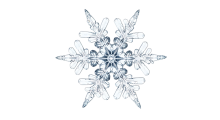 A detailed closeup of a single, intricate snowflake isolated on a transparent background, showcasing its unique crystalline structure and delicate ice formations