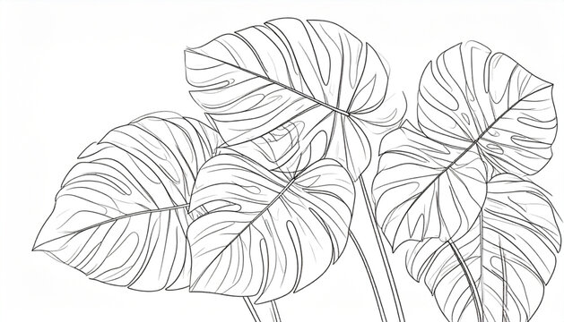 Oversized Leaf Monoline Arrangement