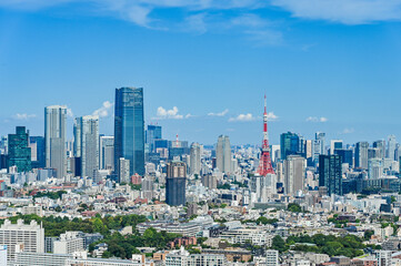 Fototapeta premium 日本の首都東京