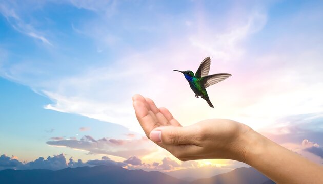 A hand releasing a colorful hummingbird into a vibrant sky over distant mountains. Captured at sunrise or sunset