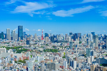 Fototapeta premium 日本東京の都市風景