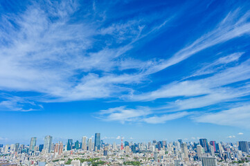 Fototapeta premium 日本東京の都市風景