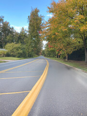 Empty Curved Road in Autumn Woods