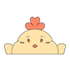 Cute chicken illustration