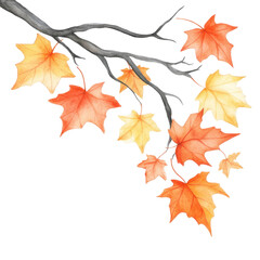 Fototapeta premium Colorful pastel leaves arranged in a cascading pattern on white background, showcasing autumn tones in a soft watercolor style