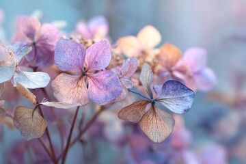 Close-up of delicate, dried floral arrangement. Pastel hues, gentle light, capturing intricate textures