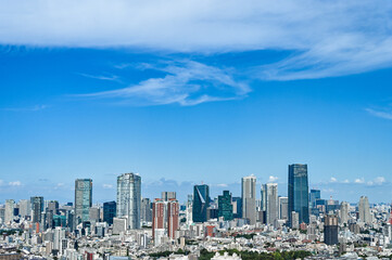 Fototapeta premium 日本東京の都市風景