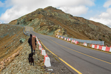 Obraz premium The Transalpina or DN67C is a 148 km national road located in the Parâng Mountains group, Southern Carpathians of Romania, one of the highest roads of the Carpathian Mountains