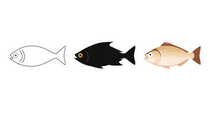 Vector art of fish vector illustration set, includes line art, silhouette, and color versions