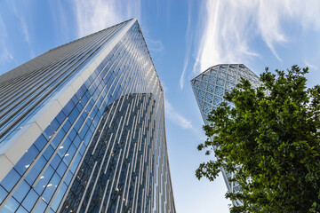 Modern Glass Skyscrapers and Tree, Low Angle View of Corporate Office Towers