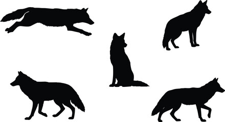 Wolf silhouette vector set, sitting walking leaping poses, wild animal motion illustration, nature artwork, cad drawing flat vector illustration