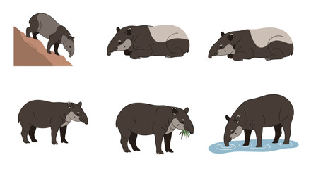 A collection of tapir illustrations depicting various poses and activities.