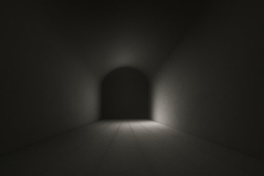 Dark empty corridor with arched ceiling and subtle light