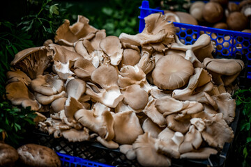 Closeup on mushrooms at the market