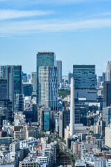 Fototapeta premium 日本東京の都市風景