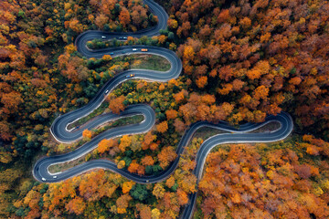 Aerial view of curving road through colorful autumn forest
