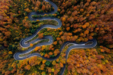 Aerial view of curving road through colorful autumn forest
