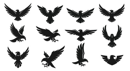 Dynamic collection of powerful eagle and hawk silhouettes in various flight poses, including soaring, landing, and attacking, with wings spread and talons extended, isolated on a clean white