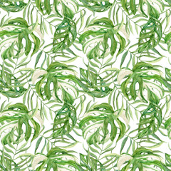 Seamless pattern of coconut palm leaves and variegated monstera. Foliage of tropical plant Dypsis, botanical illustration. Green pattern for textile and packaging design. Jungle and Caribbean style.