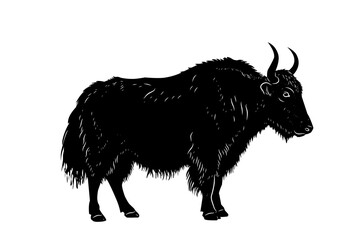Detailed silhouette illustration of a yak with horns and shaggy fur, Himalayan mountain animal artwork for wildlife, nature, and educational projects