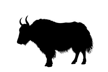Simple yak silhouette vector illustration with horns, Himalayan mountain cattle artwork for logo, emblem, wildlife, and cultural themed designs