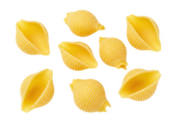 Isolated Large Shell Pasta, a Versatile Pantry Staple, Classic and Contemporary Cuisine Use