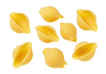 Isolated Large Shell Pasta, a Versatile Pantry Staple, Classic and Contemporary Cuisine Use