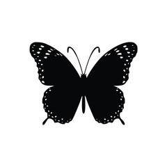Butterfly Silhouette in Black: A striking black silhouette of a butterfly, isolated, elegantly displaying its symmetrical form, perfect for artistic projects.