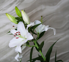 Obraz premium Romantic bouquet of lilies in soft natural light.