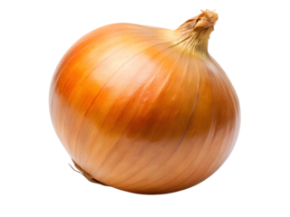 A whole fresh golden brown onion with dry papery skin isolated on a transparent background isolated on transparent background