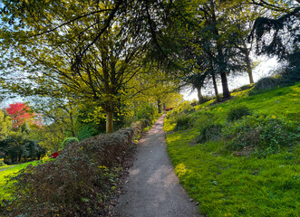 A slender trail curls through lush woodland. Sunlight dances through the leaves, casting shifting mosaics of light and shadow beneath the trees. in Northcliffe Park, Bradford, UK