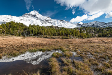 At mirror, the Pizzo Scalino in the autumn season, Central Alps landscape