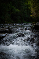 Fototapeta premium Forest lake in the mountains
