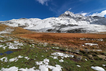 Alps landscape with Pizzo Scalino, Valmalenco, Lombardy