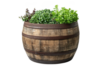 Rustic wooden barrel planter with green plants, garden decor, farmhouse style flower pot container isolated on transparent background