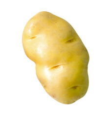 One tuber of raw potato isolated on white background with clipping path
