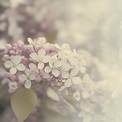 Soft Focus Blossoms, dreamy floral display with pink hues, vintage toned flowers