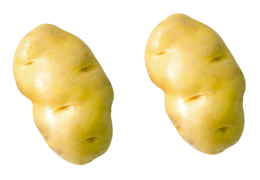 Top view set of two tubers of raw potatoes isolated with clipping path in png file format