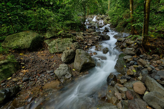 View of rushing water cascading over mossy rocks in a lush green forest, a vibrant display of nature's power and serenity, Benowo Waterfall, Ungaran, Central Java, Indonesia.