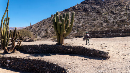 Young woman walking within the Quilmes tribe ruins located in a desert valley surrounded by large hills in Tucuman, Argentina