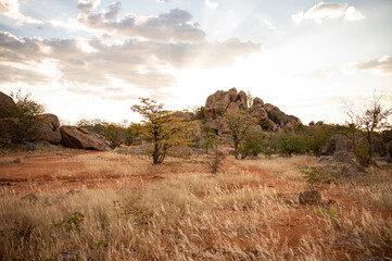 Paysage de savane et rocher au coucher de soleil 