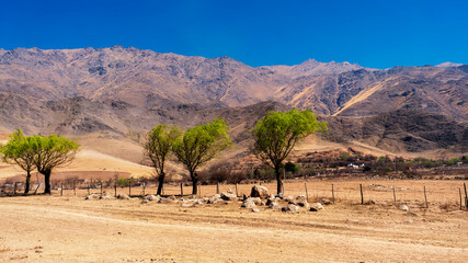 landscape view of Tafi del valle, Tucuman in a warm spring morning