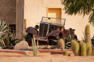 Rusty vintage convertible car abandoned in desert garden with cacti