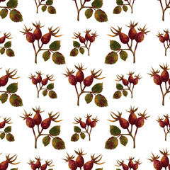 Seamless simple botanical print on white background, hand drawn. Seamless watercolor pattern with bright rose hips on a white background