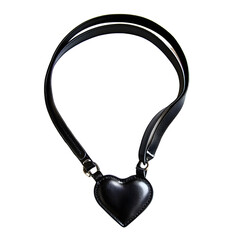Stylish Black Leather Dog Leash in Heart Shape Isolated on White Background