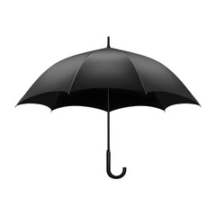 Professional Black Umbrella Icon Isolated on Clean White Background