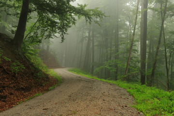 Odenwald on a foggy morning