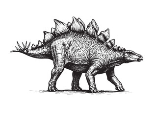 Stegosaurus Walking Vintage Engraved Prehistoric Dinosaur Illustration Vector © Gabut Stock